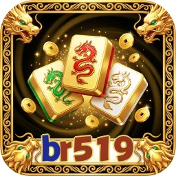 br519